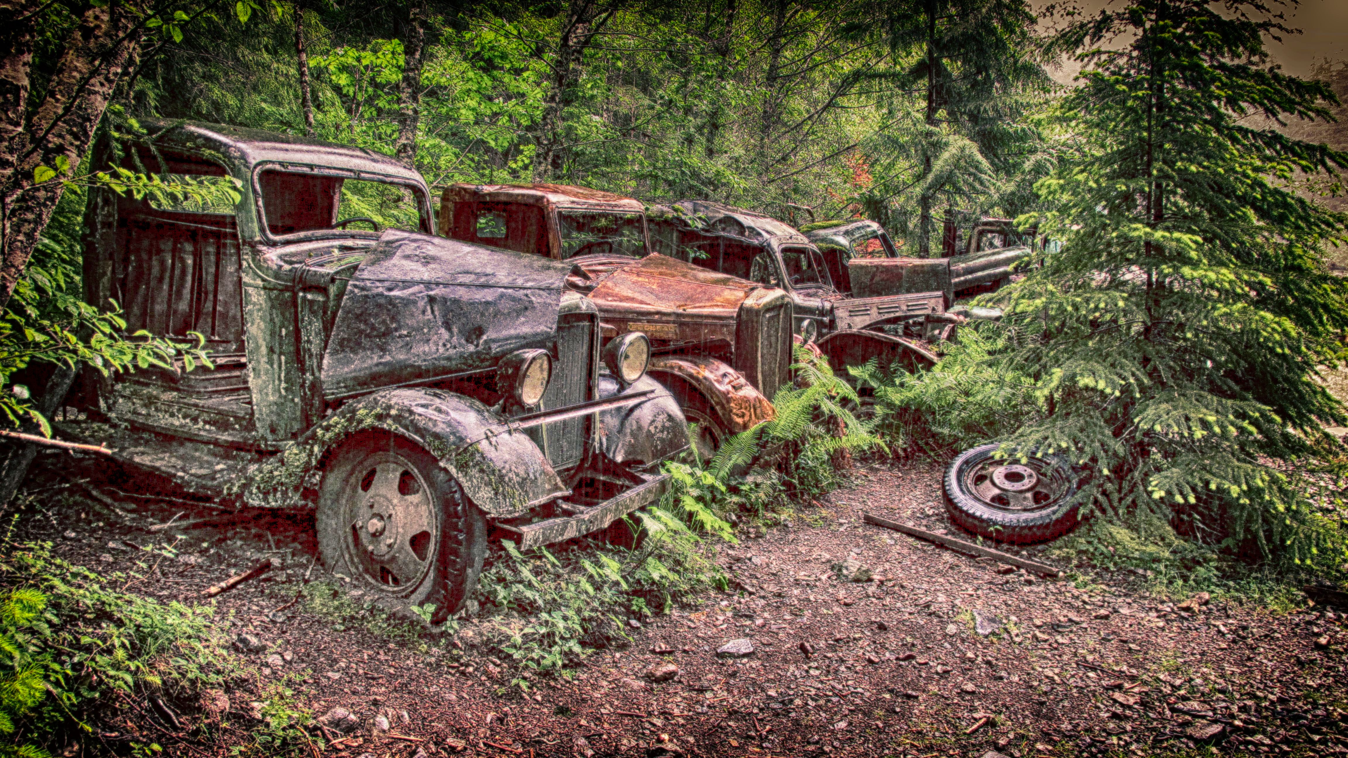 Old Men of Opal Creek